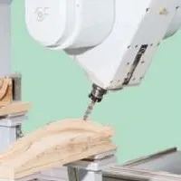Características